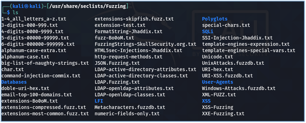 Wordlists in fuzzing module of Seclists