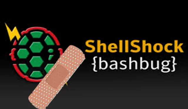 Shellshock Attack Security Patching Aftermath Shellshock Attack Security Patching Aftermath shell shock