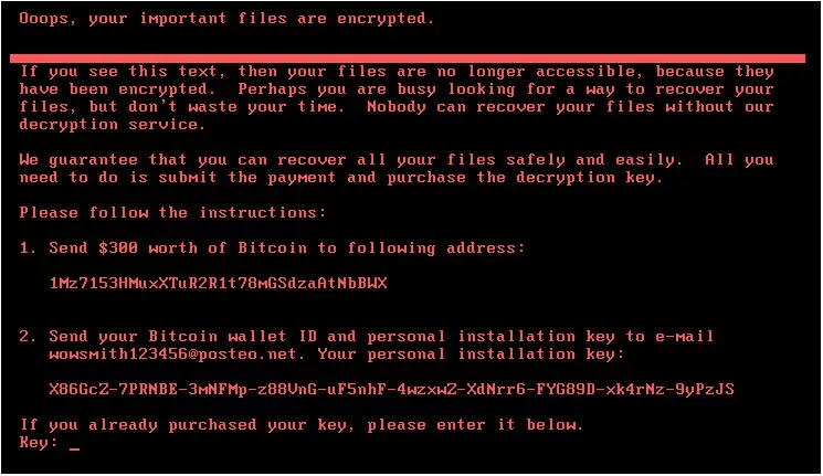 Petya Ransomware Attack PoC