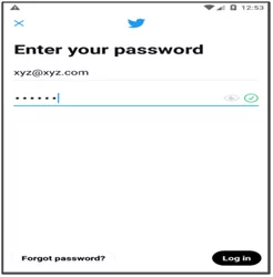 Password window